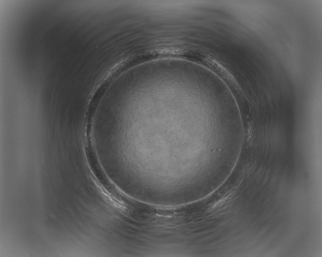 X0000074290725200608251343