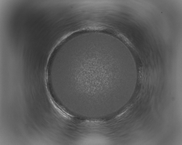 X0000074290726200608251343