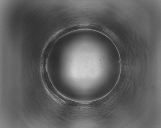 X0000074290728200608251343