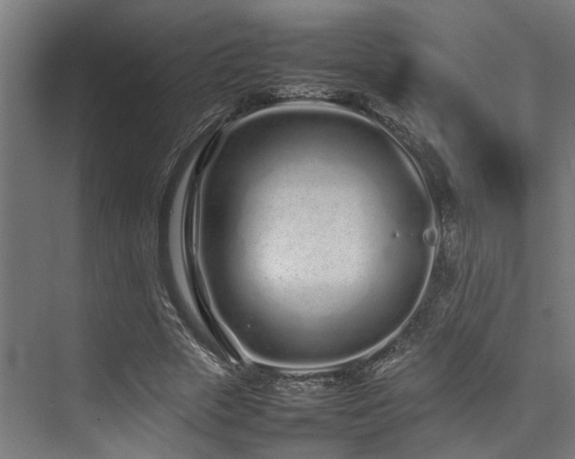 X0000074290729200608251343