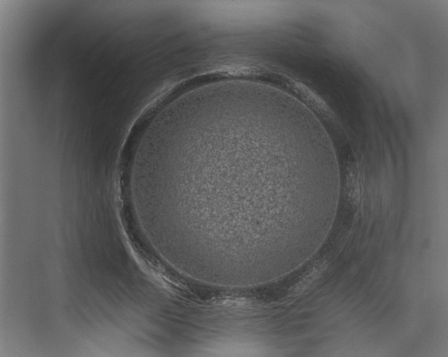 X0000074290730200608251343