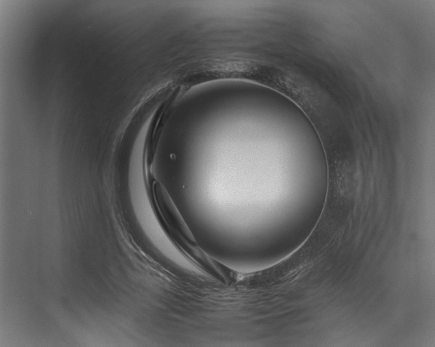 X0000074290731200608251343