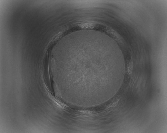 X0000074290733200608251343