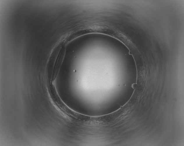 X0000074290734200608251343