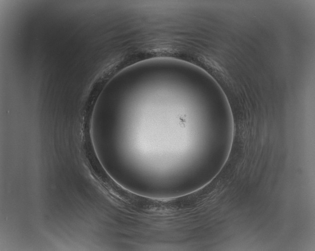 X0000074290735200608251344