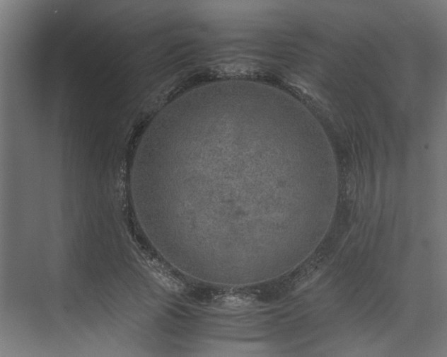 X0000074290737200608251344