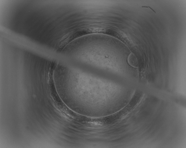 X0000074290741200608251344