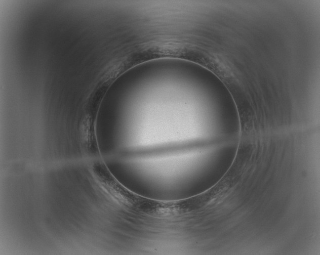 X0000074290744200608251344