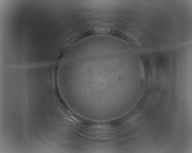 X0000074290745200608251344