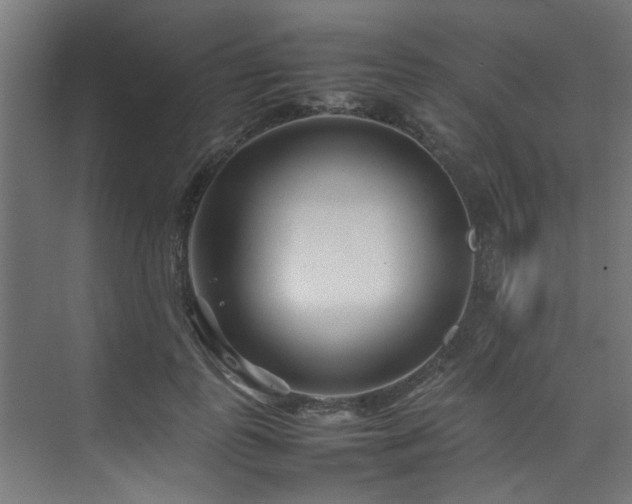 X0000074290747200608251344