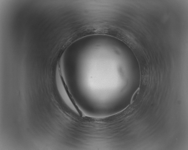 X0000074290748200608251344