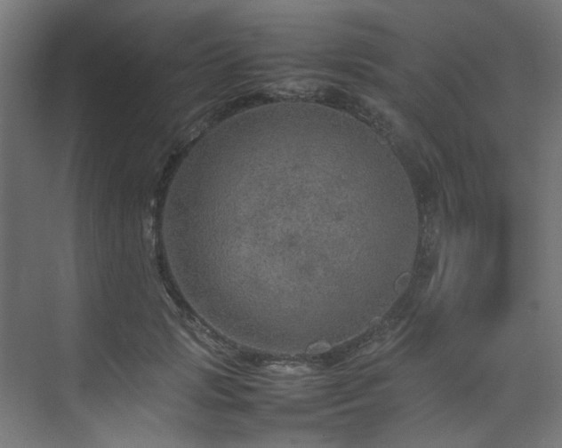 X0000074290749200608251344