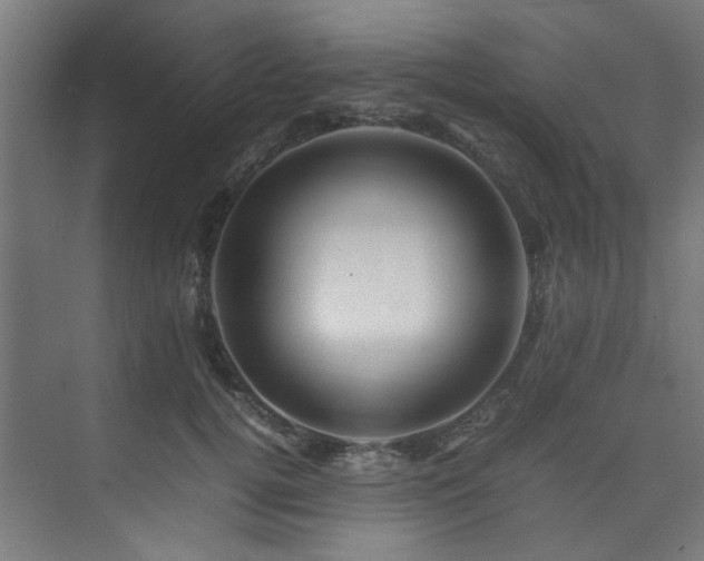 X0000074290752200608251344