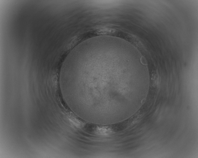 X0000074290753200608251344