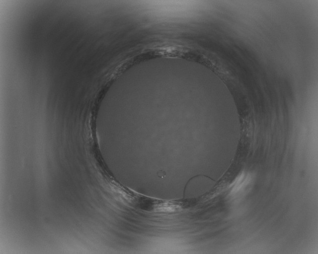 X0000074290754200608251344