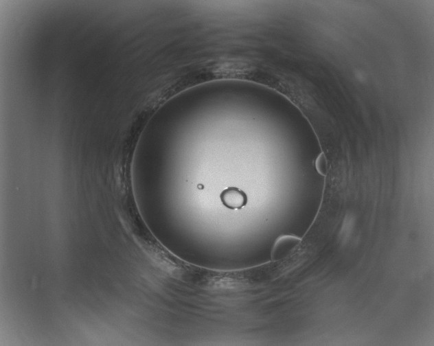 X0000074290755200608251344