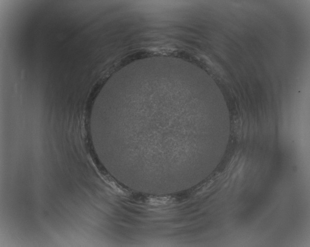 X0000074290757200608251344