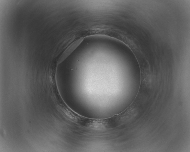 X0000074290758200608251344