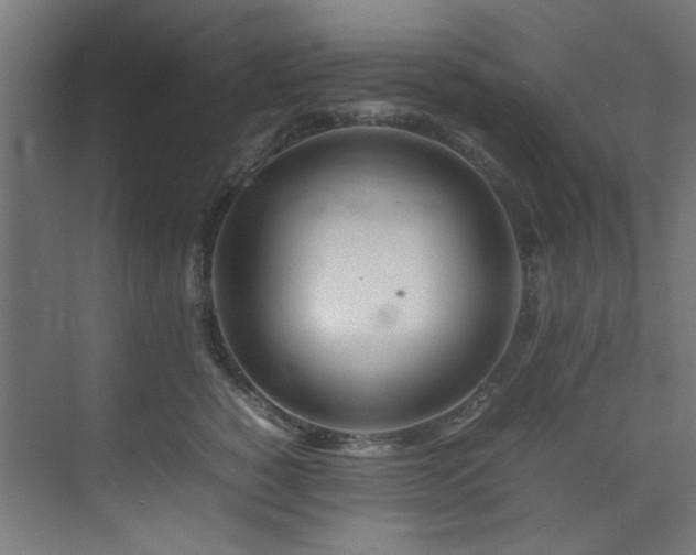 X0000074290760200608251344