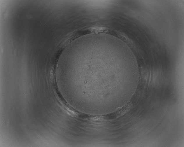 X0000074290761200608251344