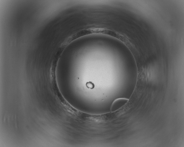 X0000074290763200608251344