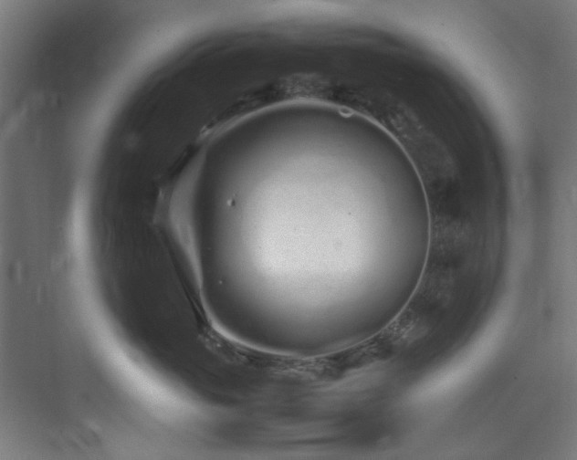 X0000074290765200608251344