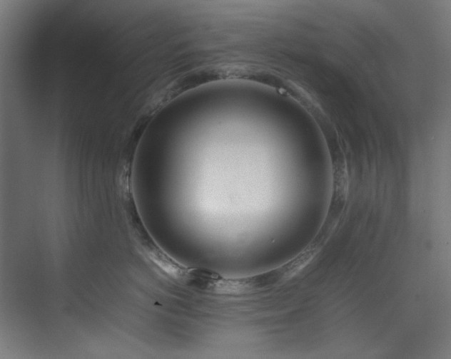 X0000074290766200608251344