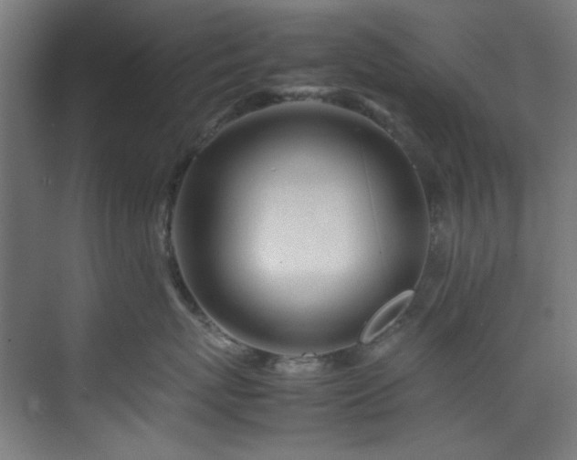 X0000074290767200608251344