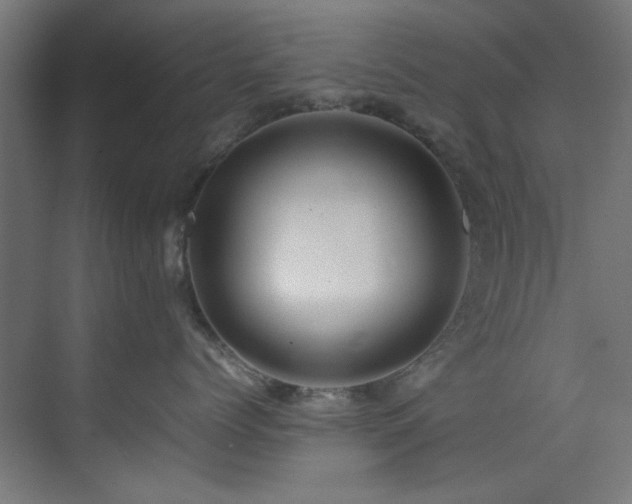 X0000074290768200608251344