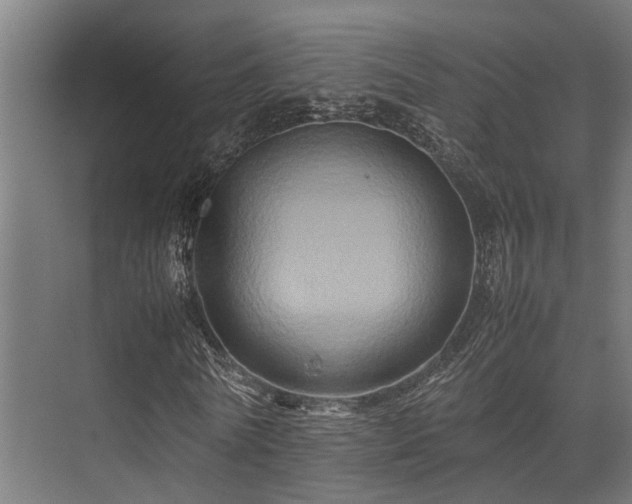 X0000074290770200608251343