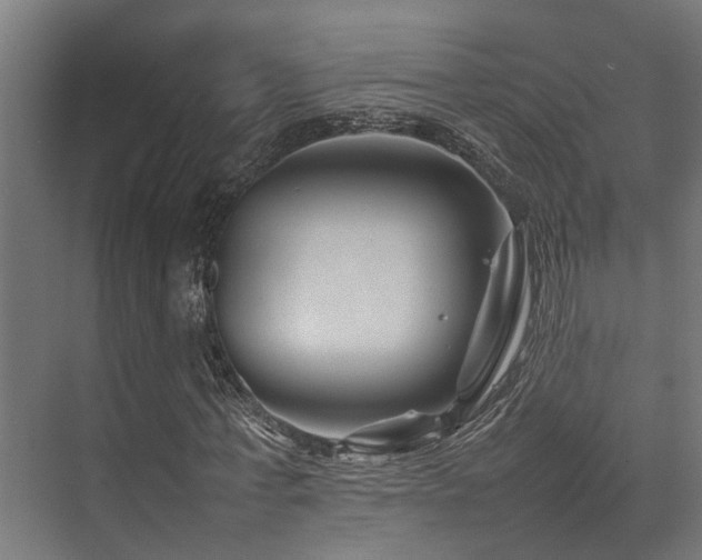 X0000074290771200608251343