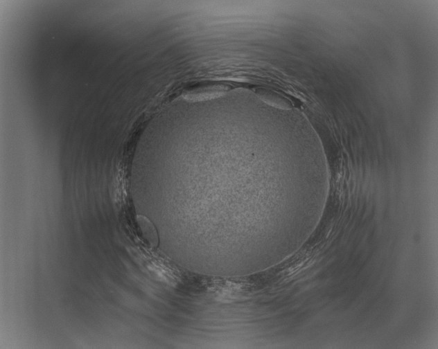 X0000074290772200608251343