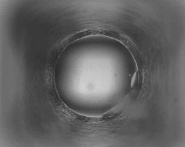 X0000074290773200608251343