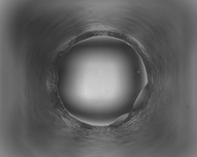 X0000074290775200608251343