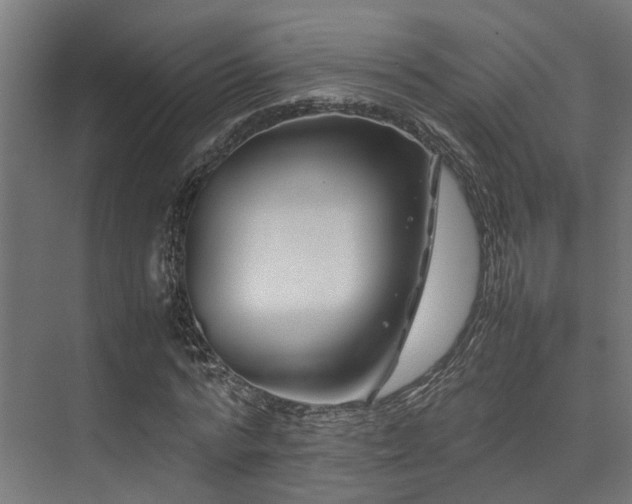 X0000074290776200608251343