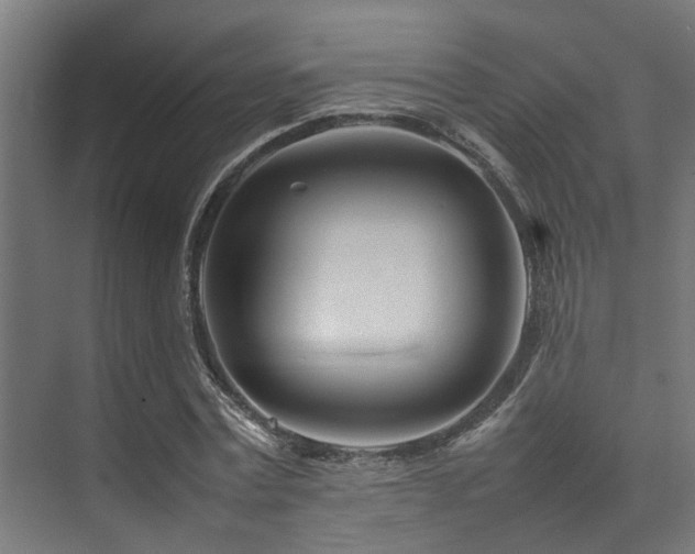 X0000074290779200608251343