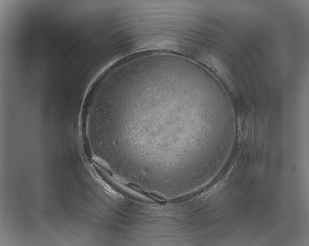 X0000074290780200608251343