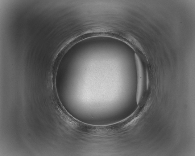 X0000074290781200608251343