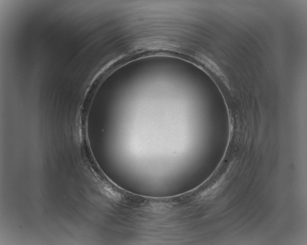 X0000074290782200608251343