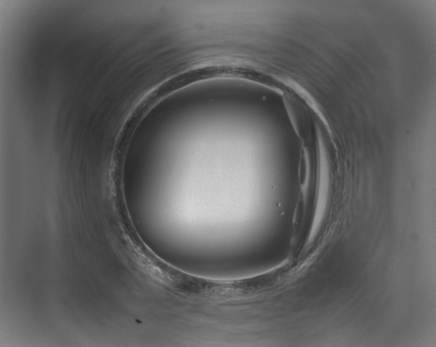 X0000074290783200608251343