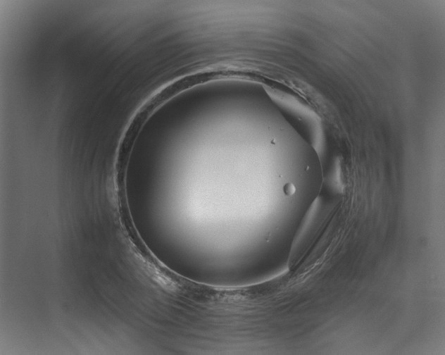 X0000074290784200608251343