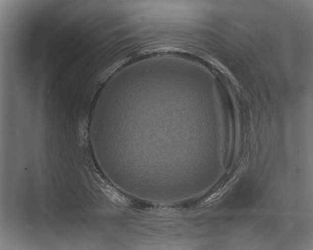 X0000074290785200608251343