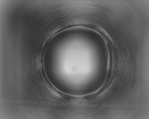 X0000074290786200608251343