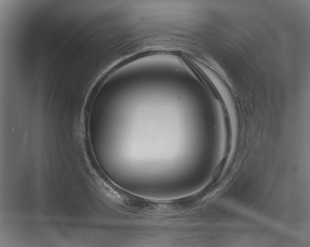 X0000074290787200608251343