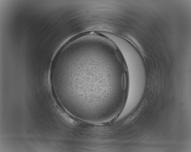 X0000074290788200608251343