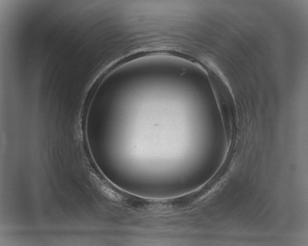 X0000074290789200608251343