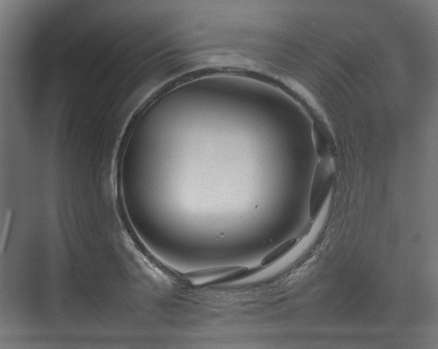 X0000074290791200608251343