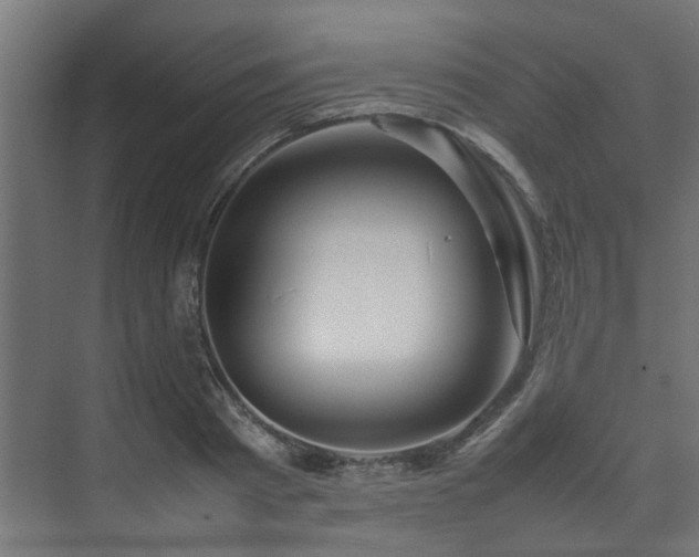 X0000074290793200608251343