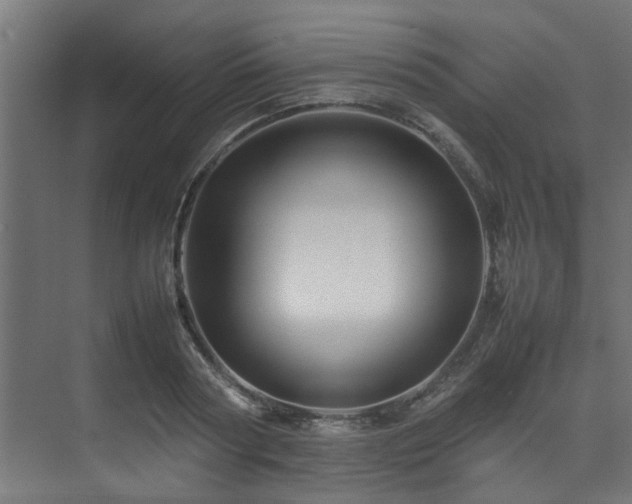 X0000074290794200608251343