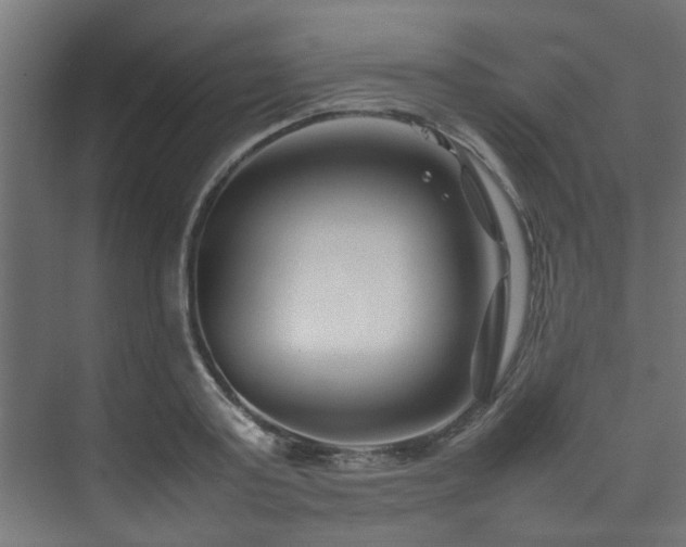 X0000074290795200608251343